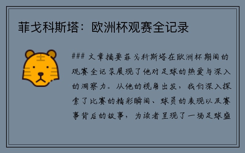 菲戈科斯塔：欧洲杯观赛全记录