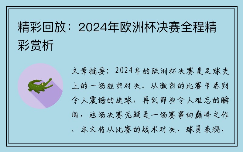精彩回放：2024年欧洲杯决赛全程精彩赏析